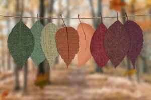 Creative and Easy Fall Craft Ideas By Equinox Cleaning