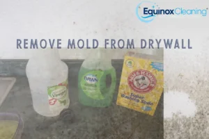 Removal Of Mold And Mildew