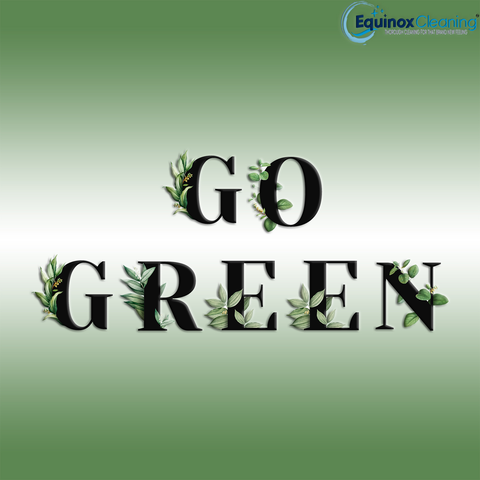 Read more about the article Eco-Warriors Unite: Equinox Cleaning is Taking NJ by Green Storm