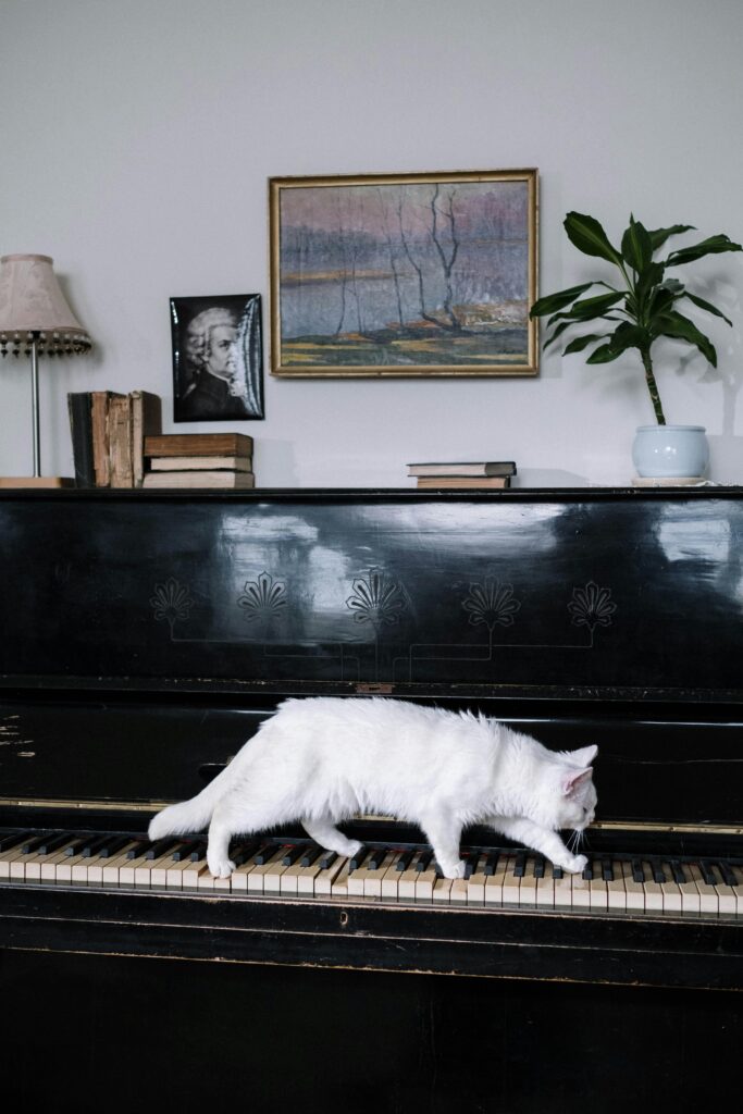 14 Essential Cleaning Hacks for a Pet-Friendly Home